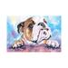 East Urban Home Bulldog Cute by George Dyachenko - Wrapped Canvas Painting Canvas | 8 H x 12 W x 0.75 D in | Wayfair