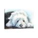 East Urban Home Old English Sheepdog Puppy by George Dyachenko - Wrapped Canvas Painting Canvas | 8 H x 12 W x 0.75 D in | Wayfair