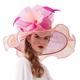 ORIDOOR Women Organza Fascinator Church Kentucky Derby Hat Floral Tea Party Wedding Hat, 003c Rose and Pink, One Size