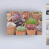 Dakota Fields Succulents in Terracotta Pots III by Cora Niele - Wrapped Canvas Photograph Metal in Brown/Gray/Green | 22 H x 32 W x 2 D in | Wayfair