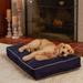 Archie & Oscar™ Jann Indoor/Outdoor Pillow Dog Bed Polyester in White/Blue | 36 W x 24 D in | Wayfair 88125D8EC4684246AF9D48363526A3BF