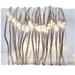 Kurt S. Adler 46873 - 50 Light 16.4' Silver Wire Warm White Battery-Operated Fairy Lights