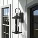 Birch Lane™ Crawley 3 - Bulb 30.62" H Beveled Glass Outdoor Wall Lantern Aluminum/Glass/Metal in Black | 30.62 H x 9.5 W x 11.25 D in | Wayfair