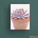 Dakota Fields Succulent House Plant III by Cora Niele - Wrapped Canvas Photograph Canvas in Brown/Gray/White | 24 H x 18 W x 2 D in | Wayfair