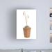 Dakota Fields Flowering Succulent Cut out 3 by Cora Niele - Wrapped Canvas Photograph Metal in Brown/White | 32 H x 22 W x 2 D in | Wayfair