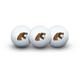 WinCraft Florida A&M Rattlers Three-Pack Golf Ball Set