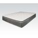 California King 14" Foam Mattress - Alwyn Home Myrtlewood Plush Pillow Top | 84 H x 72 W 14 D in Wayfair 90245DACE1A547AEA319F23E350DF241