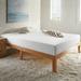 Twin 8" Memory Foam Mattress - Sleep Inc. Solutions Plush | 54 W x 8 D in Wayfair WYS20408-1010