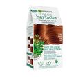 Garnier Herbalia Color Permanente Haarfarbe, 100 % pflanzlich mit Henna, Indigo und Cassia für natürliche und strahlende Reflexe, revitalisiertes und dichtes Haar. Castano Ambrato