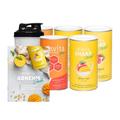 Beavita 4-Wochen-Diätpaket Suppen- & Frucht-Shake-Mix 5x500 g Set