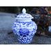 Charlton Home® Porcelain Helmet Kitchen Canister Porcelain/China in Blue/White | 5 H x 3.5 W x 3.5 D in | Wayfair CHRL8509 44540366