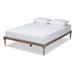 Iseline Modern and Contemporary Platform Bed Frame