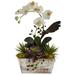 The Gray Barn Jartop Orchid and Succulent Garden White Wash Planter Decorative Plant - White Wash