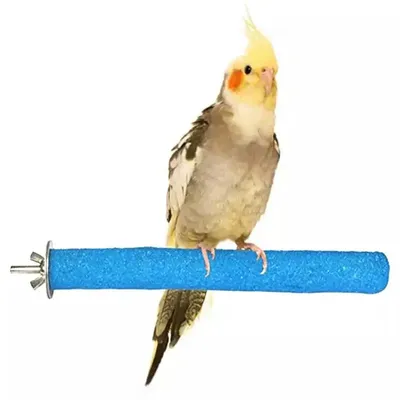 Dorakitten-Perchoir à oiseaux en bois rugueux support de meulage de patte d'oiseaux jouet de