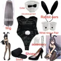 Costume de Cosplay Sakurajima Mai pour Fille Lapin Costume d'Halloween Amusant Bas Noirs Talons