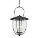 Troy Lighting Mark D. Sikes Monterey County 31 Inch Tall 4 Light Outdoor Hanging Lantern - F5731-FRN