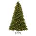 The Holiday Aisle® 7' H Green Fir Cashmere Christmas Tree w/ 450 LED Lights in White | 84 H x 44 W in | Wayfair 9E154BACA46C4193819B96848E391AE1