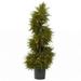 Primrue 43” Cedar Spiral Topiary W/Lights | 43 H x 45 W x 40 D in | Wayfair ED94F888CDC540E3B976DC4294973088