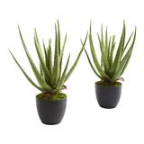 Primrue Aloe Artificial Plant Set Of 2 | 18 H x 8 W x 8 D in | Wayfair 61CFFBB0EF5147FF97D035A6C83E7B87