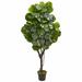 Primrue 5’ Fiddle Leaf Fig Artificial Tree | 60 H x 15 W x 15 D in | Wayfair 631E64860FD649CFA22BBC029DBE3DE6