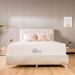 Full Firm 8" Gel/Foam Mattress - Nap Queen Elizabeth, Cooling Gel Infused Memory Foam Mattress, Multiple Sizes | 75 H x 54 W 8 D in Wayfair NQ72821