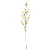 Primrue Forsythia Stem | 55 H x 6 W x 3 D in | Wayfair 032B063043CE4DB0AF51B7768F14799C