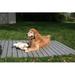 The Kennel Deck Plastic in Gray | 47.5 H x 23.5 W x 2 D in | Wayfair KD400