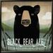 Loon Peak® Skinny Dip Black Bear Ale By Ryan Fowler, Framed Wall Art Paper, Glass in Black/Green | 11.6" H x 11.6" W x 1.5" D | Wayfair