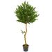 58" Olive Topiary Artificial Tree UV Resistant (Indoor/Outdoor) - 13"W x13"D x 58"H