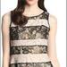 Jessica Simpson Dresses | Jessica Simpson Sleeveless Fit-And-Flare 12 | Color: Black/Cream | Size: 12