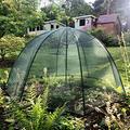 Suttons Brolly Cloche, Garden equipment, Growing equipment, Plant protection, Pest protection, Pest control, Bird netting, Garden netting, Insect netting
