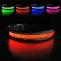 MASBRILL USB Collier de Chien LED Rechargeable Flat Nylon Webbing éclairé Clignotant Dog Collar