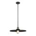 Innovations Lighting Bruno Marashlian Appalachian 16 Inch Large Pendant - 201S-SG-MFR-SG-16-LED