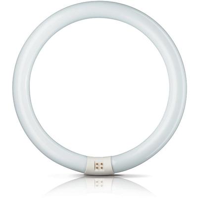 EHL - Philips Leuchtstoffröhre master tl-e Circular - C-T9, 865 Tageslicht - 32W