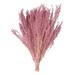 Vickerman 686959 - 14-18" Coral Stoebe Bundle (H1STB715) Dried and Preserved Flowering Plants