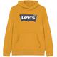 Levi's Kids Boy's Lvb Batwing Screenprint Hoodie Hooded Sweatshirt, Golden Spice, 14 Years