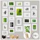 bomoe 24pcs Wall Collage Set Nature 10x 10x15 cm, 8x 13x18 cm, 4x 15x20 cm, 2x 20x30 cm Hanging Photo Frame Set - Wooden Photo Frames with Passepartout Picture Collage Photo Picture Print – White