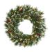 24" Frosted Swiss Pine Wreath with 35 Clear LED Lights and Berries