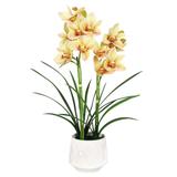 Yellow Burgundy Artificial Cymbidium Orchid Flower Arrangement 2 Stem in Leaf Pattern Ceramic Pot 24in - 24" H x 18" W x 8" DP