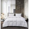 kathy ireland White Goose Feather and Down Comforter by Blue Ridge Home Fashions, Inc in White (Size KING)