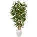 5' Bamboo Tree in Oval White Planter - 25"D x 25"W x 60"H