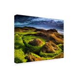 Highland Dunes Sea Grass 2 by Dennis Frates - Wrapped Canvas Photograph Canvas, Wood in Blue/Brown/Green | 14 H x 19 W x 2 D in | Wayfair