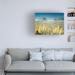 Highland Dunes Beach Grass by Dennis Frates - Wrapped Canvas Photograph Metal in Gray/Yellow | 24 H x 32 W x 2 D in | Wayfair