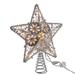 Kurt Adler Star Tree Topper Plastic in Gray | 11 H x 2 W x 10 D in | Wayfair UL0913S