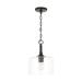 Homeplace by Capital Lighting Fixture Company Carter 10 Inch Mini Pendant - 339311MB