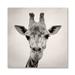 DecorumBY Curious Giraffe Unframed Photograph Print Plastic/Acrylic in White/Brown | 36 H x 36 W x 1.5 D in | Wayfair