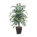 Vickerman 4' Green and White Variegated Ficus Everyday Bush - Green / White