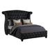 House of Hampton® Rausch Tufted Upholstered Low Profile Sleigh Bed Metal in Black | 64.37 H x 86 W x 81 D in | Wayfair