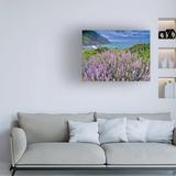 Ebern Designs Sea Grass 5 by Dennis Frates - Wrapped Canvas Photograph Canvas in Blue/Gray/Green | 14 H x 19 W x 2 D in | Wayfair