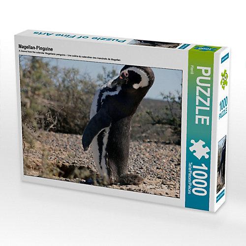 Puzzle Magellan-Pinguine Foto-Puzzle Bild von Flori0 Puzzle